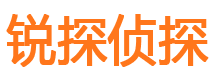 青山市侦探调查公司